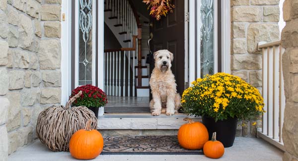 6 Ways to Bring the Outdoors Inside This Fall 6 Ways to Bring the Outdoors Inside This Fall