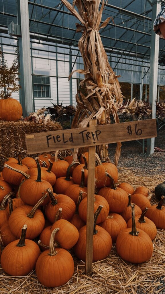 Autumn is near Enjoy the High Country39s pumpkin patches and Autumn is near! Enjoy the High Country's pumpkin patches and corn mazes