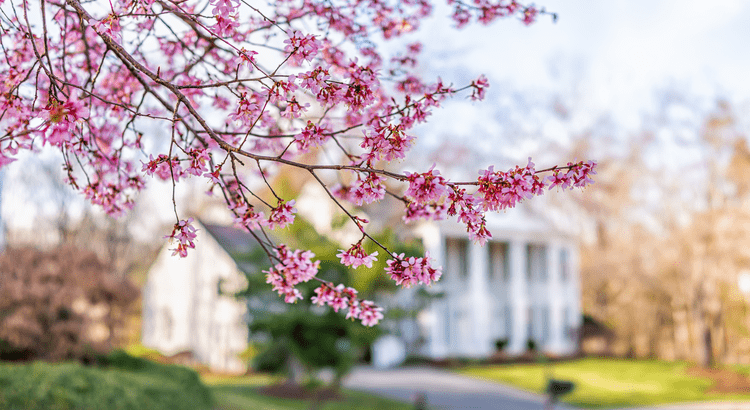4 ways to make an offer that stands out this 4 ways to make an offer that stands out this spring